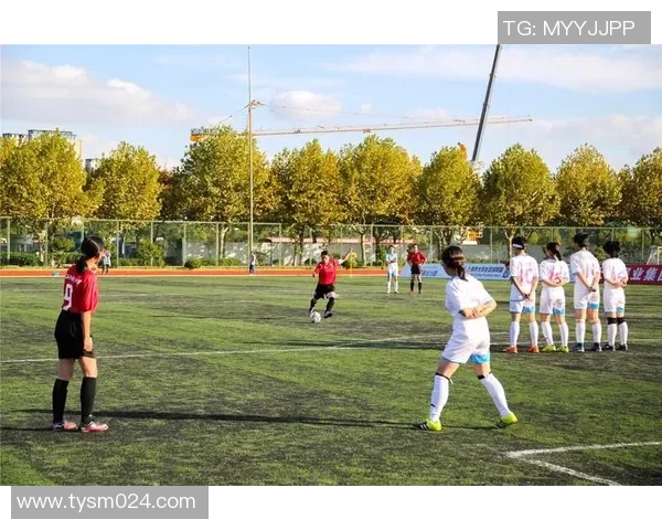 瓦雷赫姆与安德莱赫特比赛前瞻分析及双方战术对比探讨